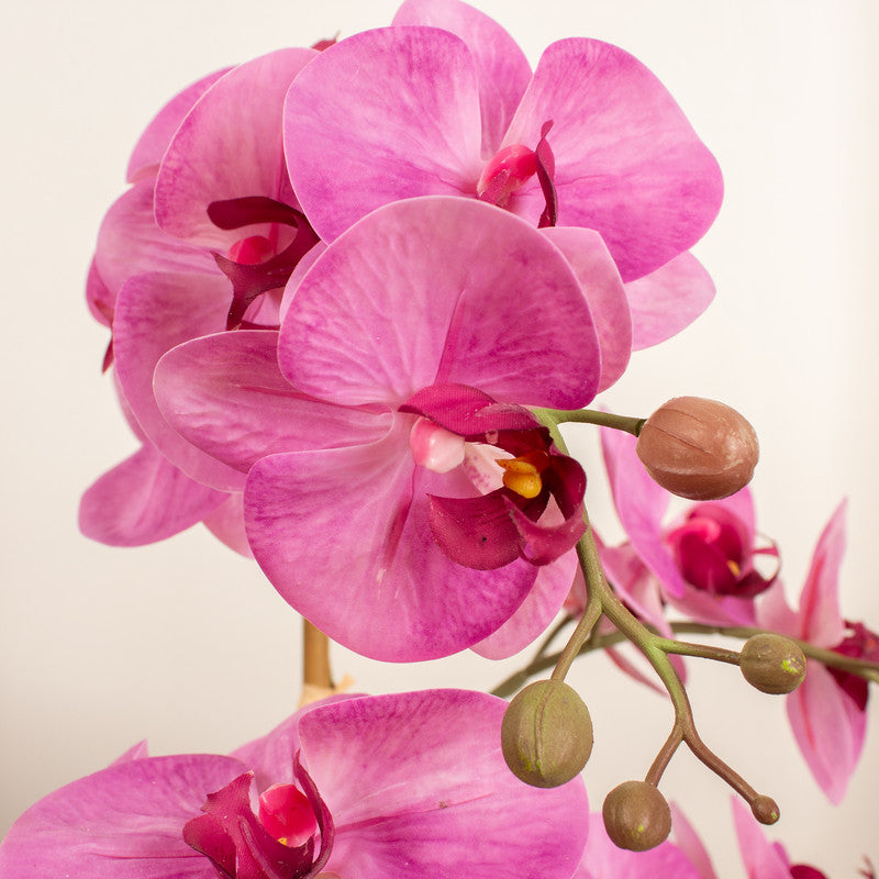 62cm Real Touch 3-stem Pink Phalaenopsis Orchid in Ceramic Pot